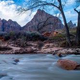 Review photo of South Campground — Zion National Park by Darrin L., June 20, 2016