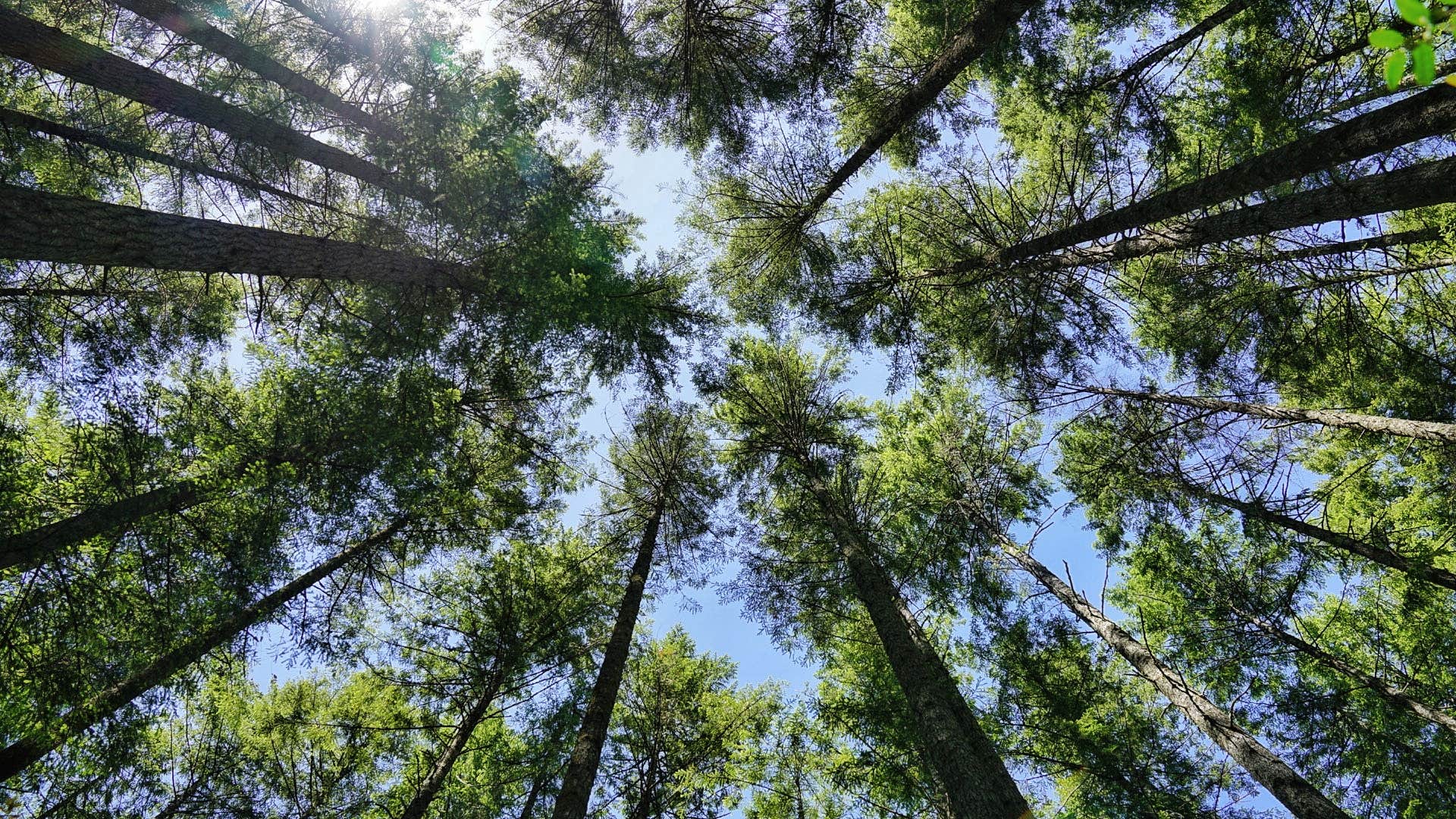 Camper-submitted photo at Jarrell Cove State Park Campground near Gig Harbor, WA