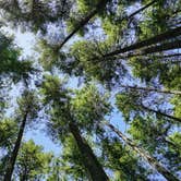 Review photo of Jarrell Cove State Park Campground by Dawnielle C., June 14, 2017