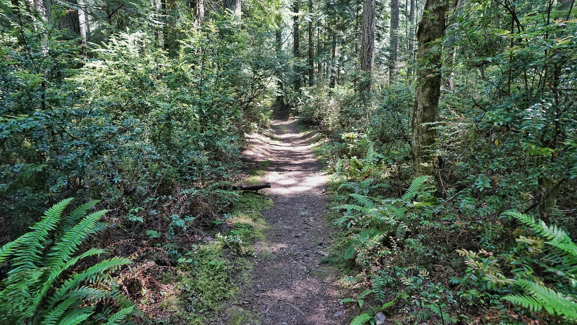Camper-submitted photo at Jarrell Cove State Park Campground near Gig Harbor, WA