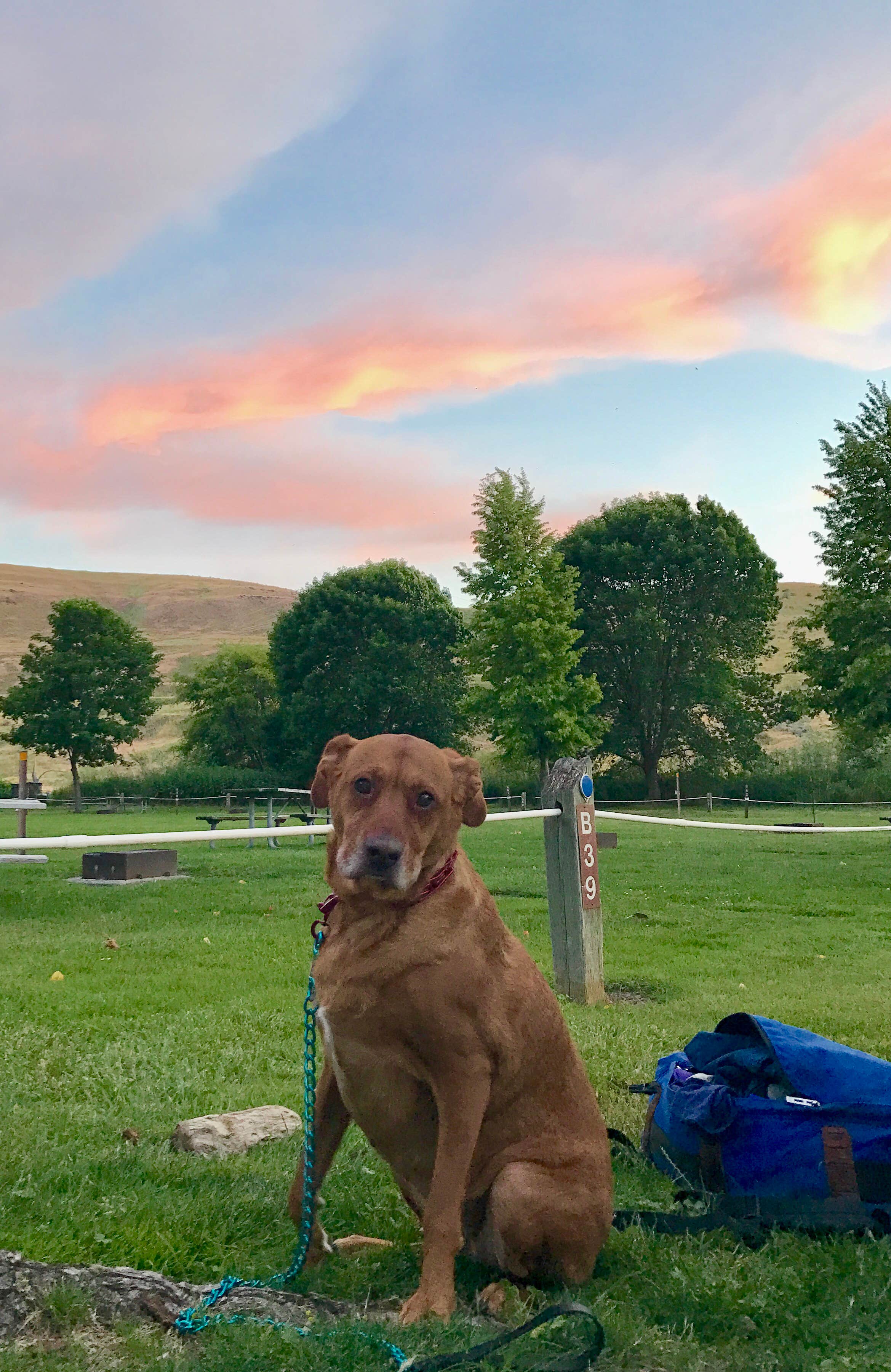Camper-submitted photo at Deschutes River State Recreation Area near Mikkalo, OR
