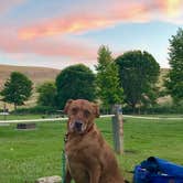 Review photo of Deschutes River State Recreation Area by Kim K., June 14, 2017