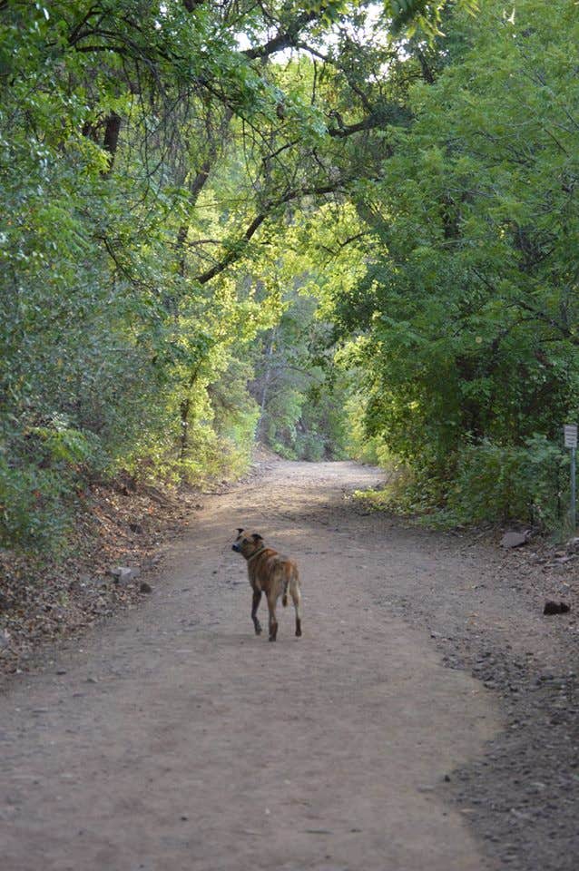 Camper submitted image from Clear Creek Group (AZ) - 3