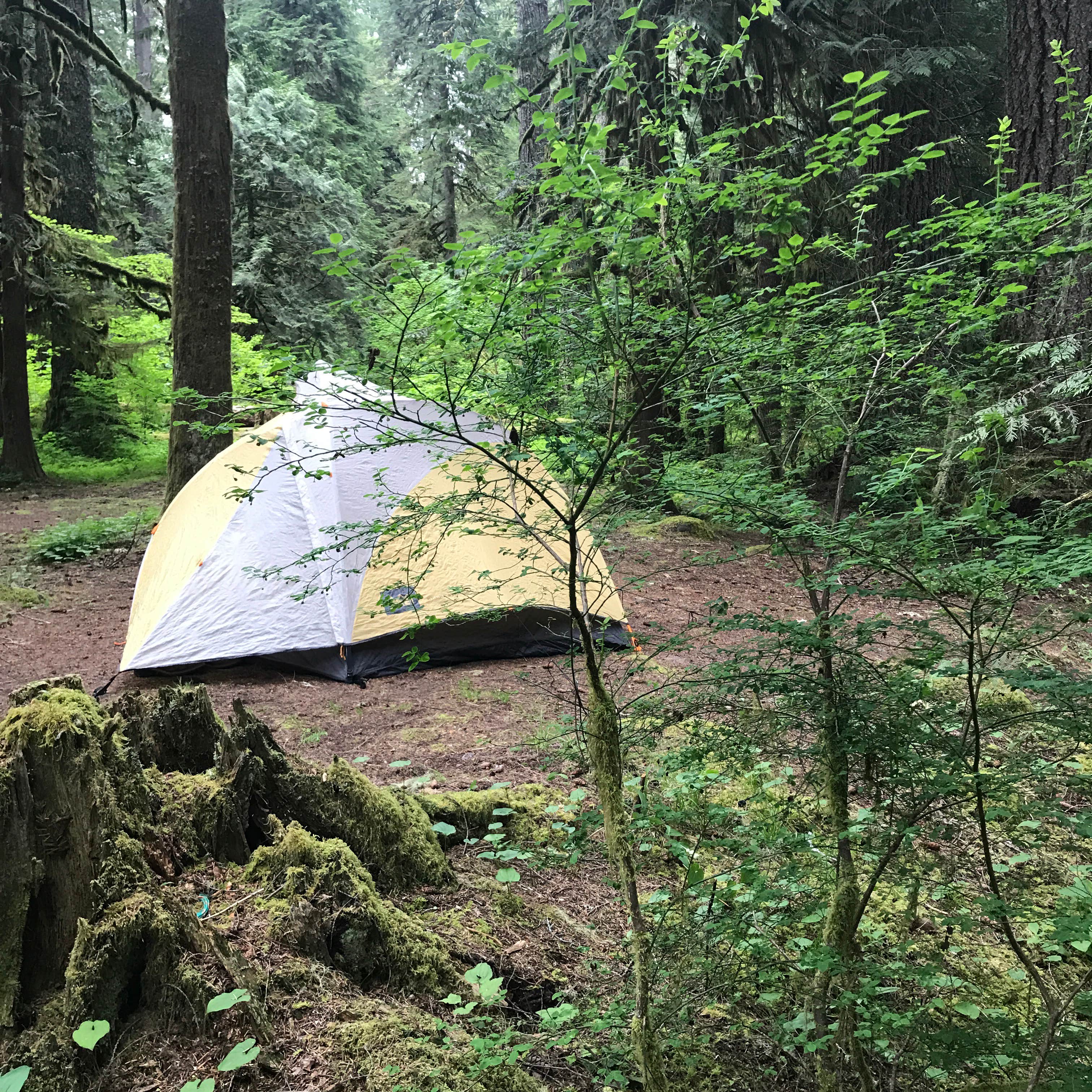 Campsites