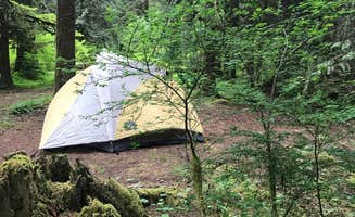 Heather E.'s photo at Camp Creek near Brightwood, OR