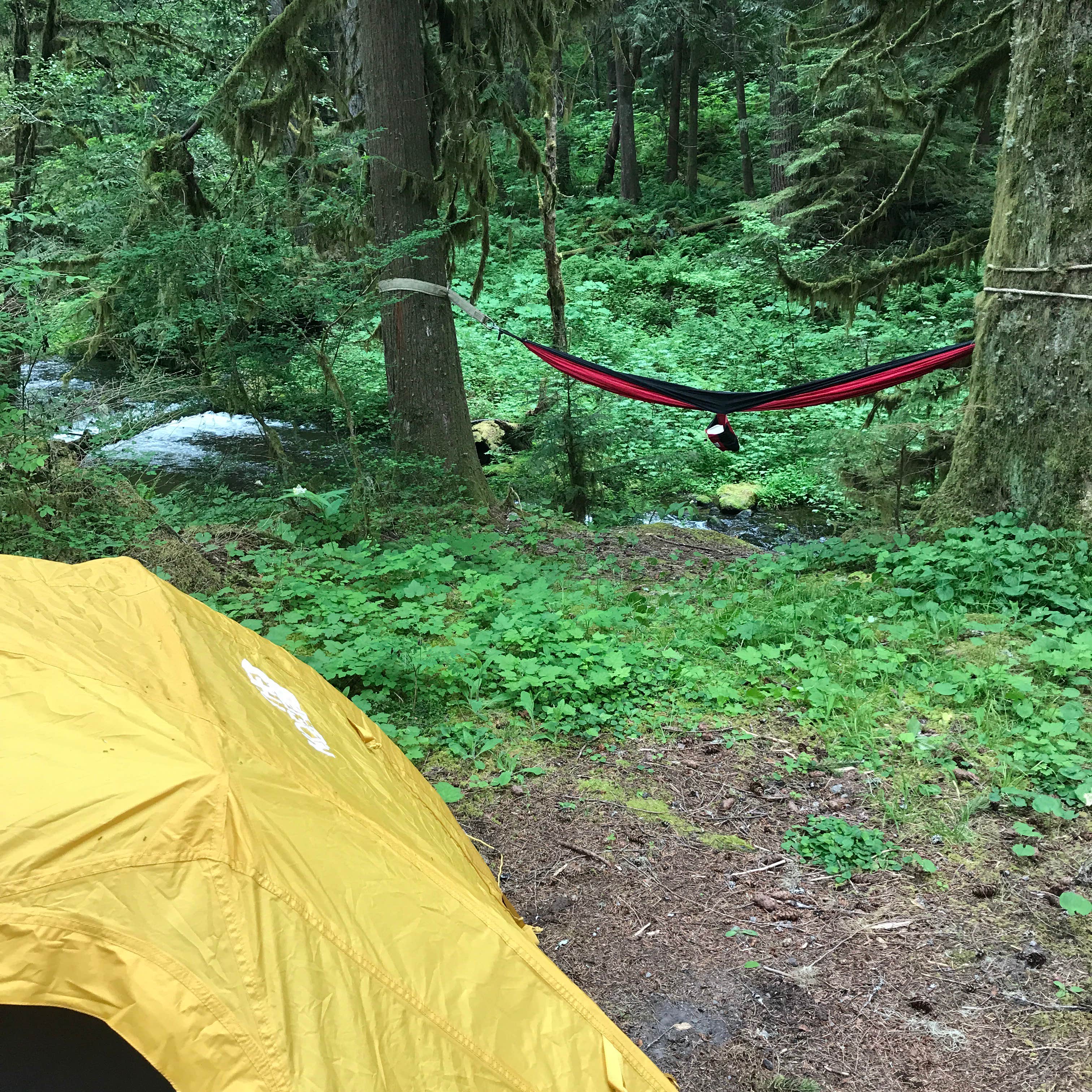 Camper submitted image from Camp Creek - 2