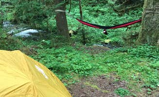 Heather E.'s photo at Camp Creek near Brightwood, OR