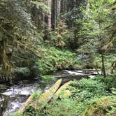 Review photo of Camp Creek by Heather E., June 14, 2017