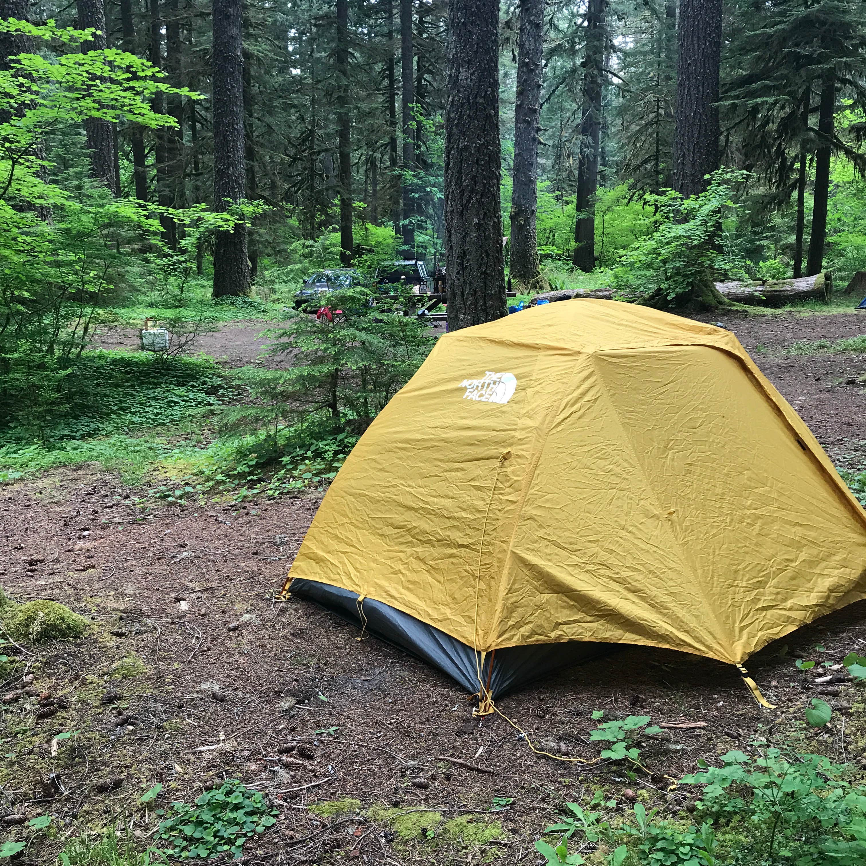 Heather E.'s photo at Camp Creek near Rhododendron, OR