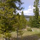 Review photo of East Park Campground - Ashley National Forest by Cortney M., June 14, 2017