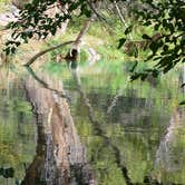 Review photo of Clear Creek Group (AZ) by Mary R., June 21, 2016