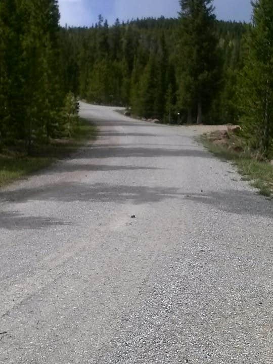 Camper submitted image from East Park Campground - Ashley National Forest - 3