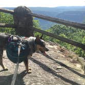 Review photo of Cloudland Canyon State Park Campground by Shelly S., June 14, 2017