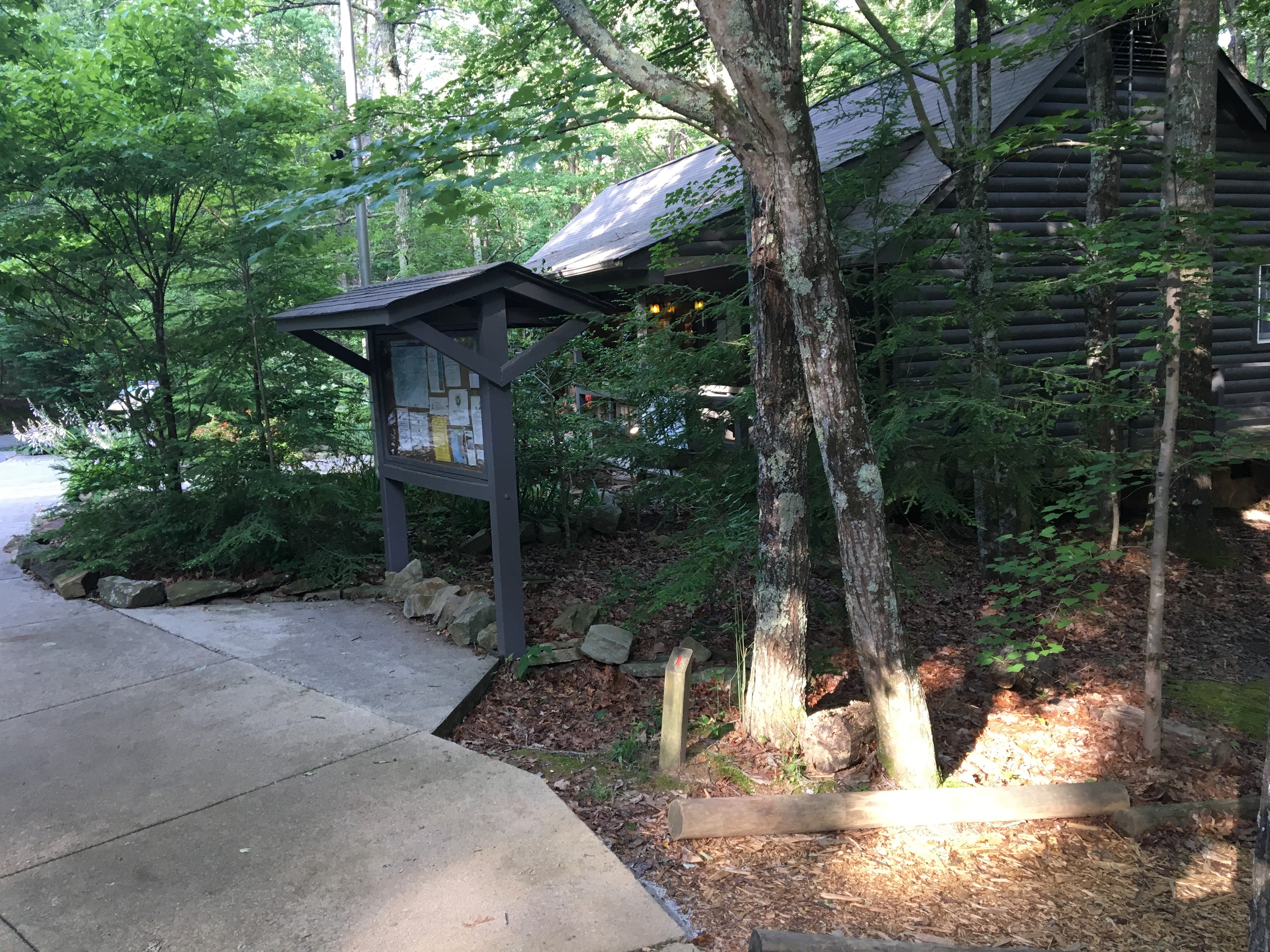 Camper submitted image from West Rim - Cloudland Canyon State Park - 1