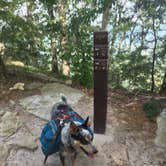 Review photo of Cloudland Canyon State Park Campground by Shelly S., June 14, 2017