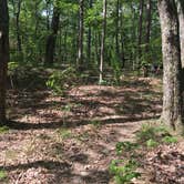 Review photo of Cloudland Canyon State Park Campground by Shelly S., June 14, 2017