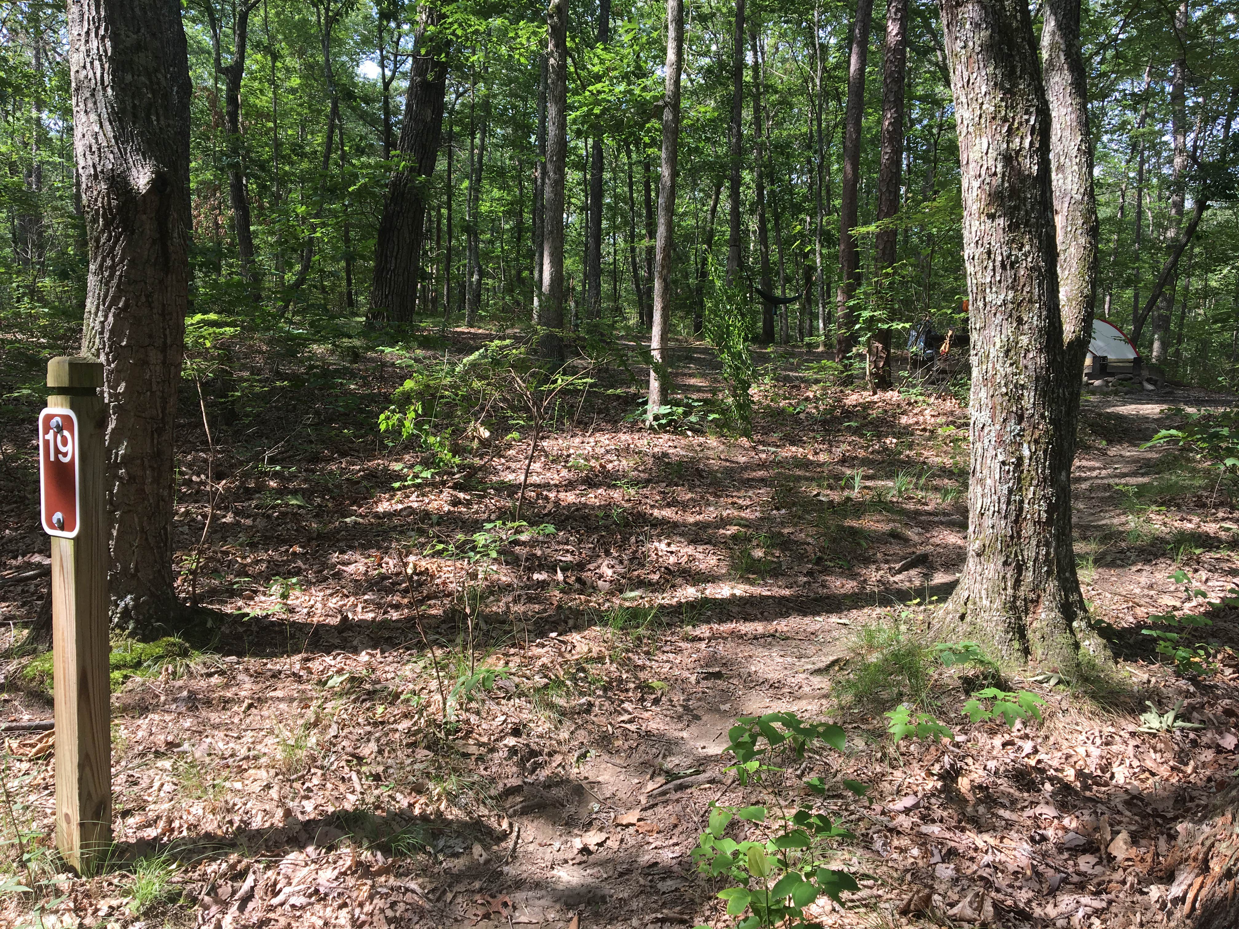 Camper submitted image from West Rim — Cloudland Canyon State Park - 2