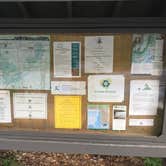 Review photo of Cloudland Canyon State Park Campground by Shelly S., June 14, 2017