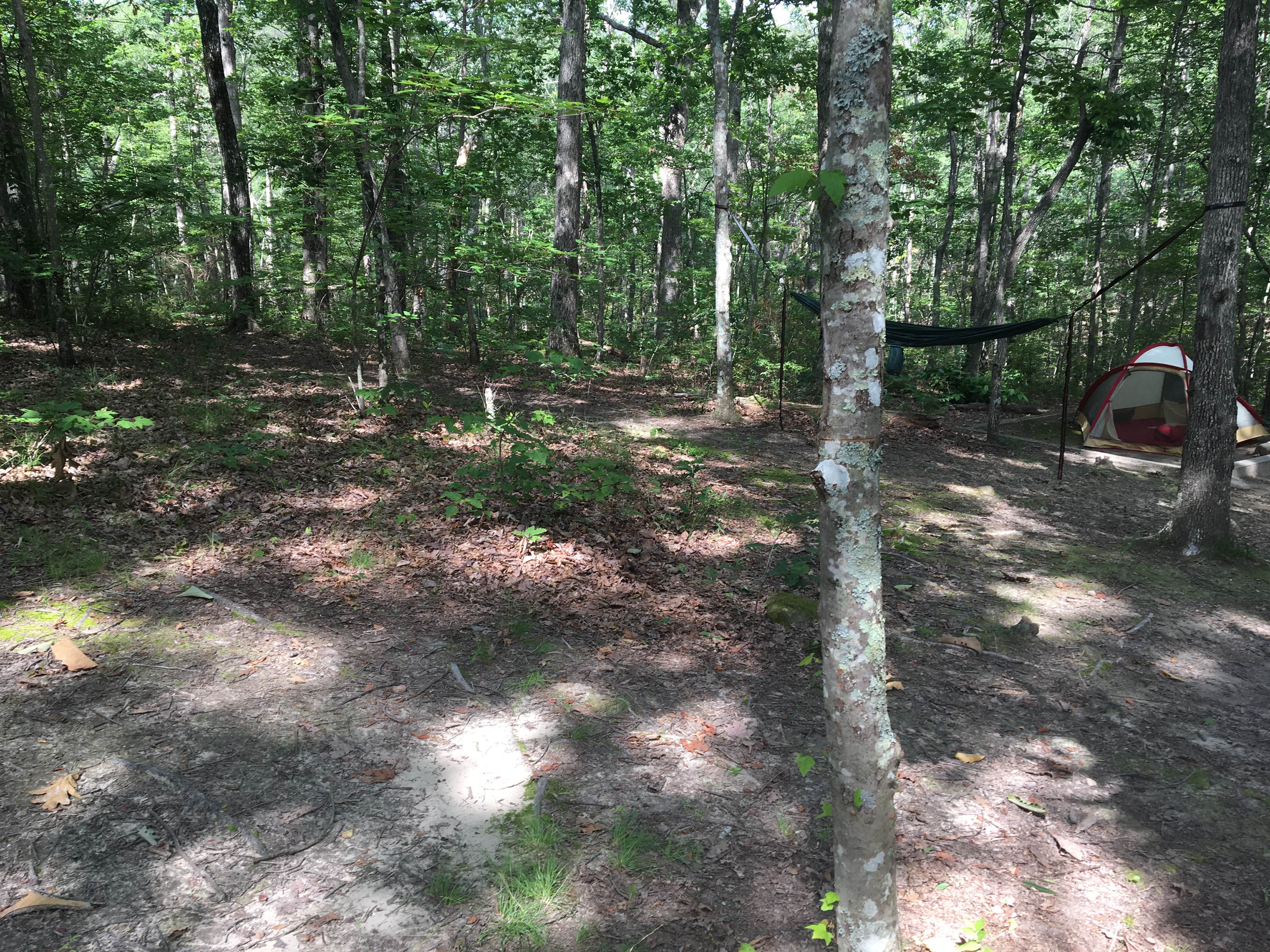 Camper submitted image from Cloudland Canyon State Park Campground - 4