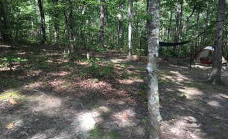 Shelly S.'s photo at Cloudland Canyon State Park Campground near Bridgeport, AL