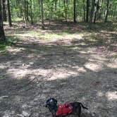 Review photo of Cloudland Canyon State Park Campground by Shelly S., June 14, 2017
