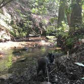 Review photo of Cloudland Canyon State Park Campground by Shelly S., June 14, 2017