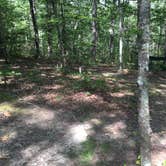 Review photo of Cloudland Canyon State Park Campground by Shelly S., June 14, 2017