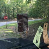 Review photo of Cloudland Canyon State Park Campground by Shelly S., June 14, 2017