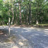 Review photo of Cloudland Canyon State Park Campground by Shelly S., June 14, 2017