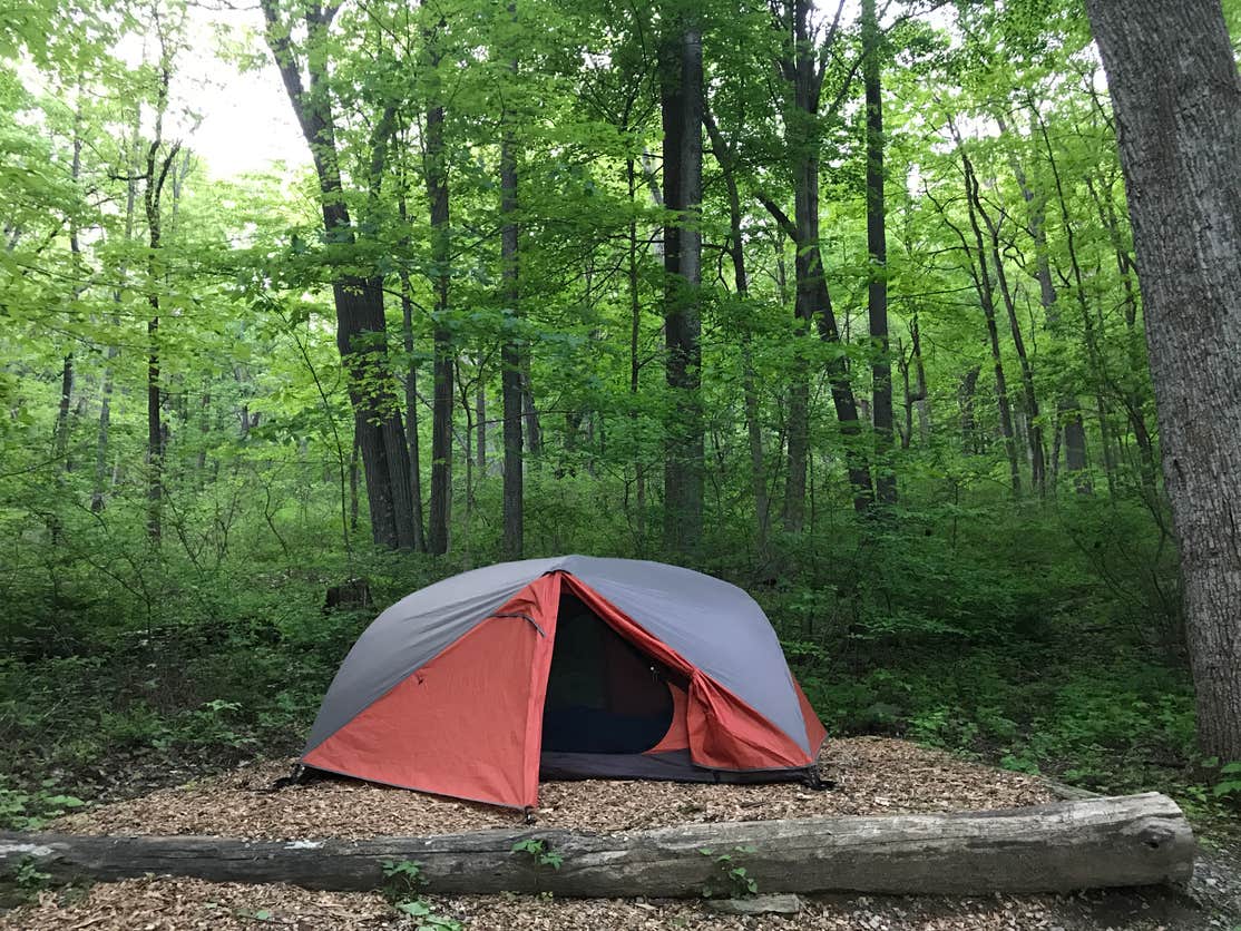 Owens Creek Campground The Dyrt