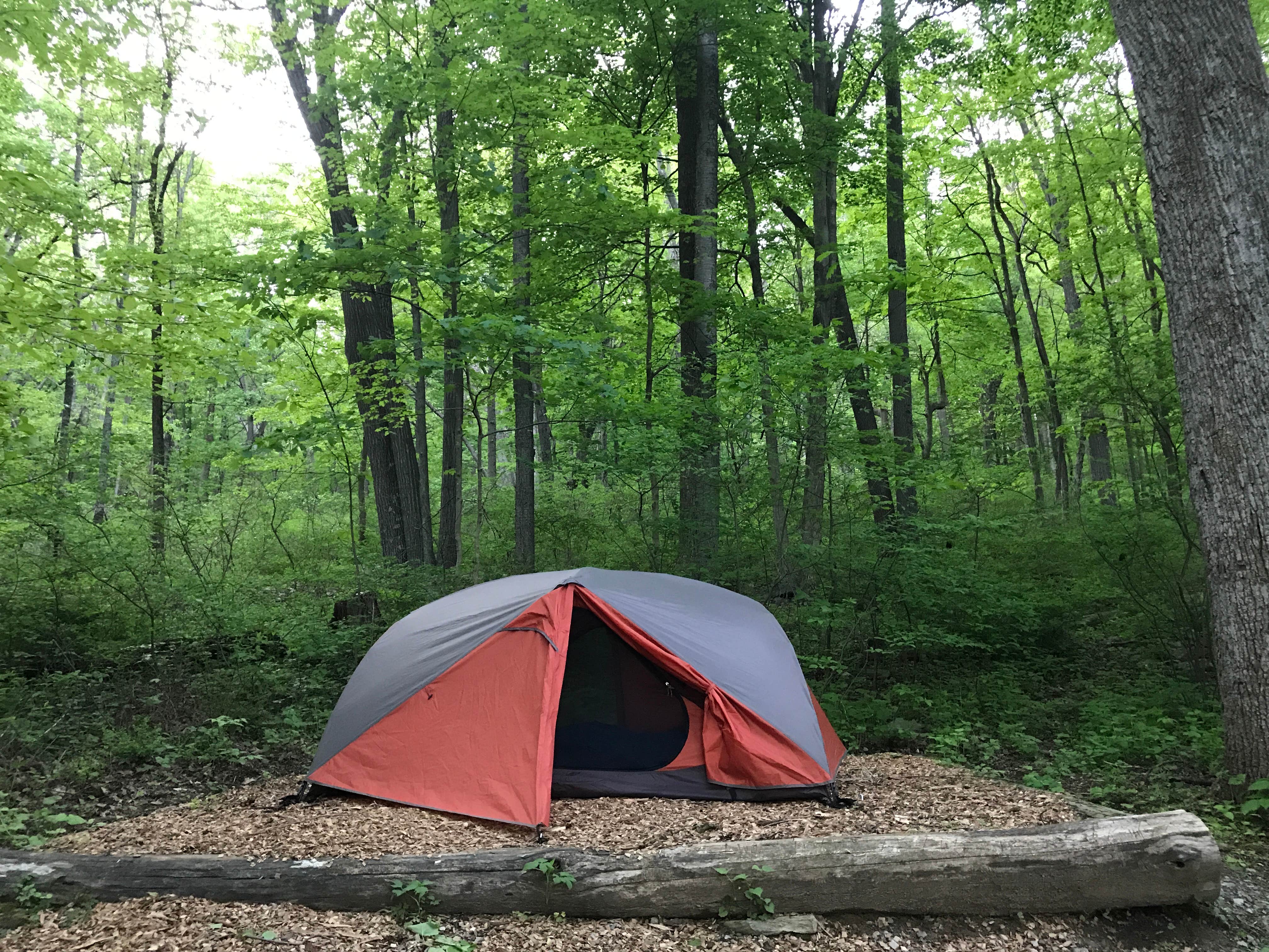 Camper submitted image from Owens Creek Campground — Catoctin Mountain Park - 5