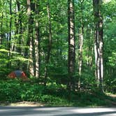 Review photo of Owens Creek Campground — Catoctin Mountain Park by Dave V., June 15, 2017