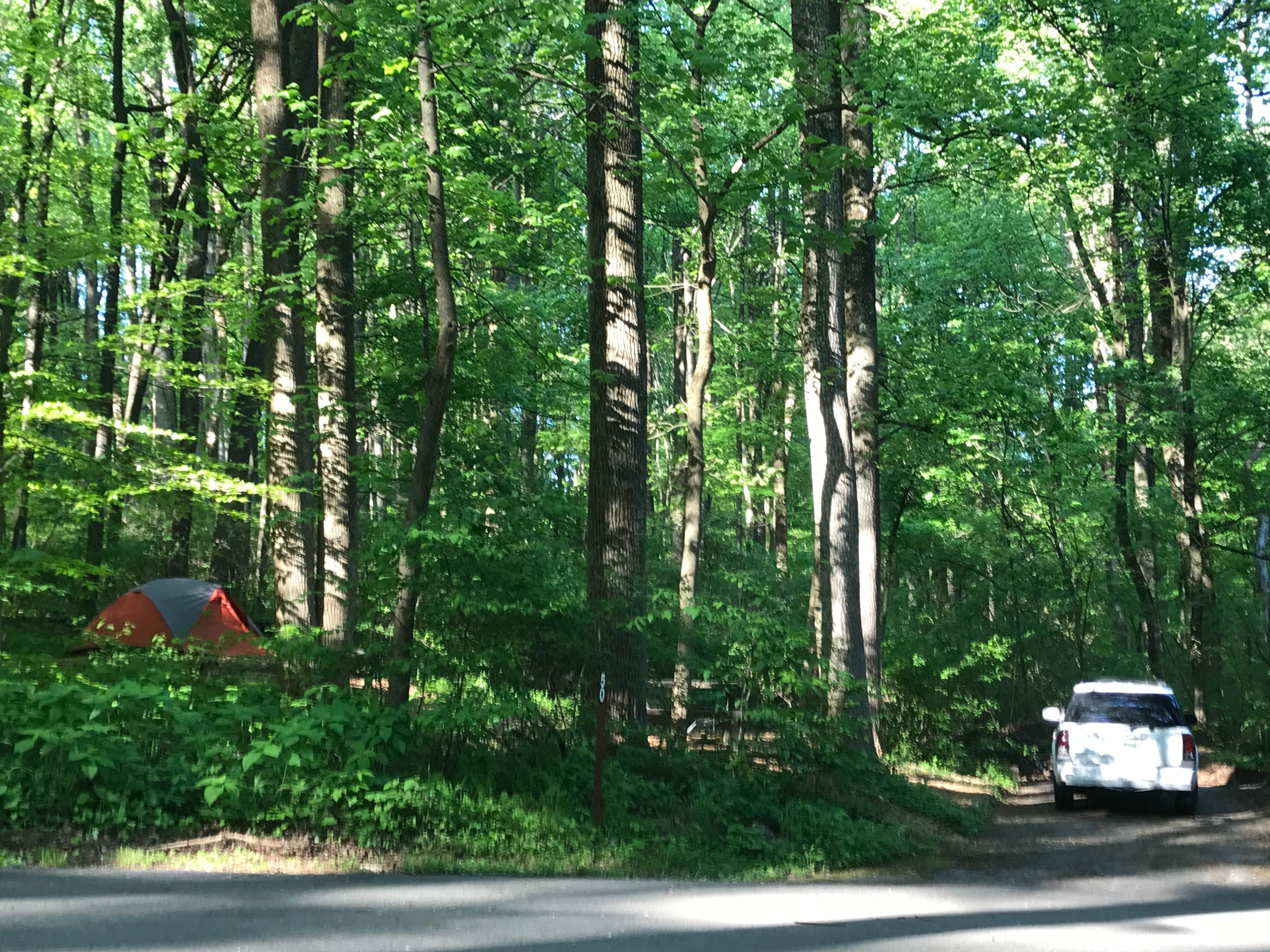 Camper submitted image from Owens Creek Campground — Catoctin Mountain Park - 2
