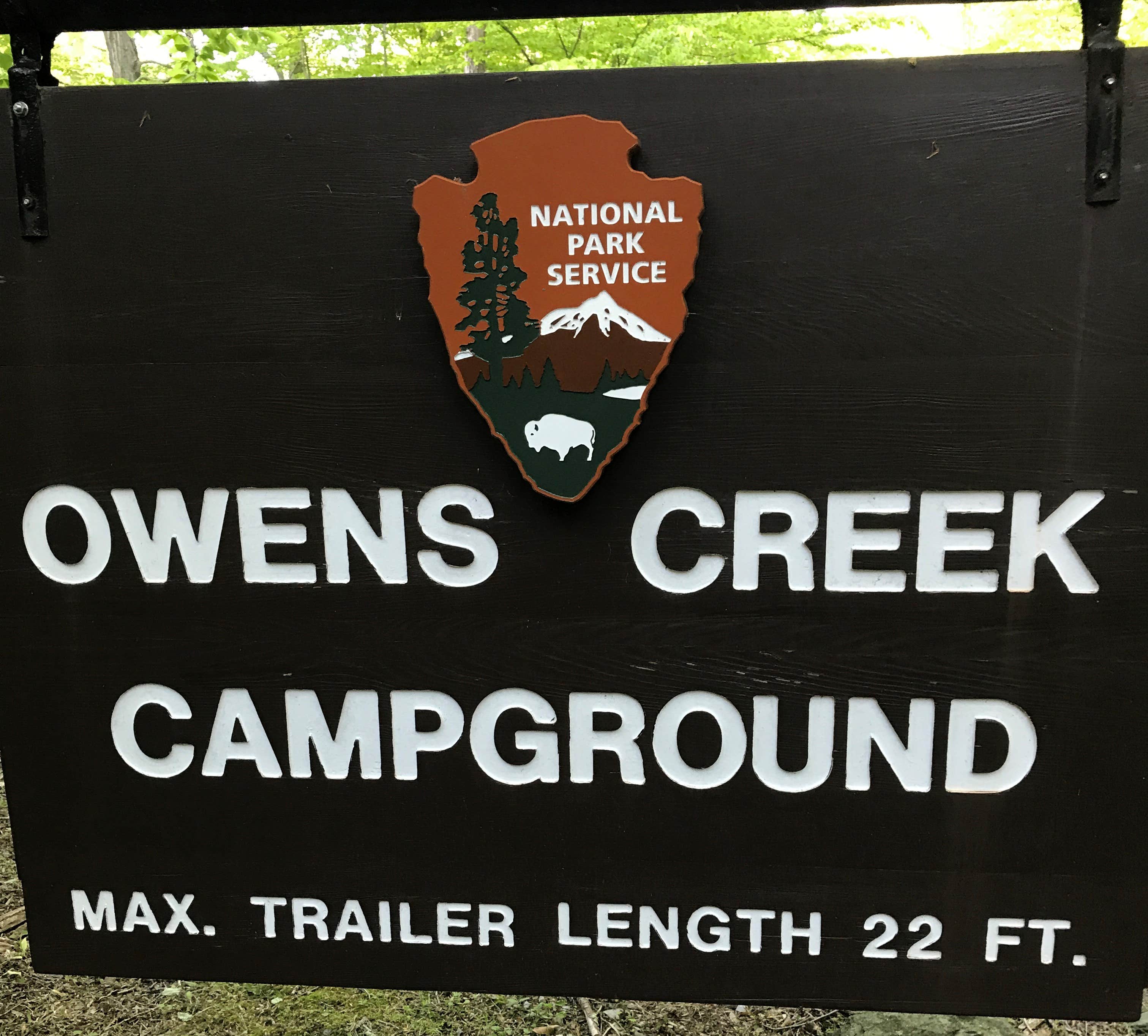 Camper submitted image from Owens Creek Campground — Catoctin Mountain Park - 5