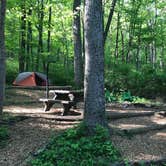 Review photo of Owens Creek Campground — Catoctin Mountain Park by Dave V., June 15, 2017