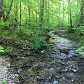 Review photo of Owens Creek Campground — Catoctin Mountain Park by Dave V., June 15, 2017