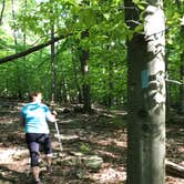 Review photo of Owens Creek Campground — Catoctin Mountain Park by Dave V., June 15, 2017