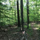 Review photo of Owens Creek Campground — Catoctin Mountain Park by Dave V., June 15, 2017