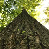 Review photo of Owens Creek Campground — Catoctin Mountain Park by Dave V., June 15, 2017