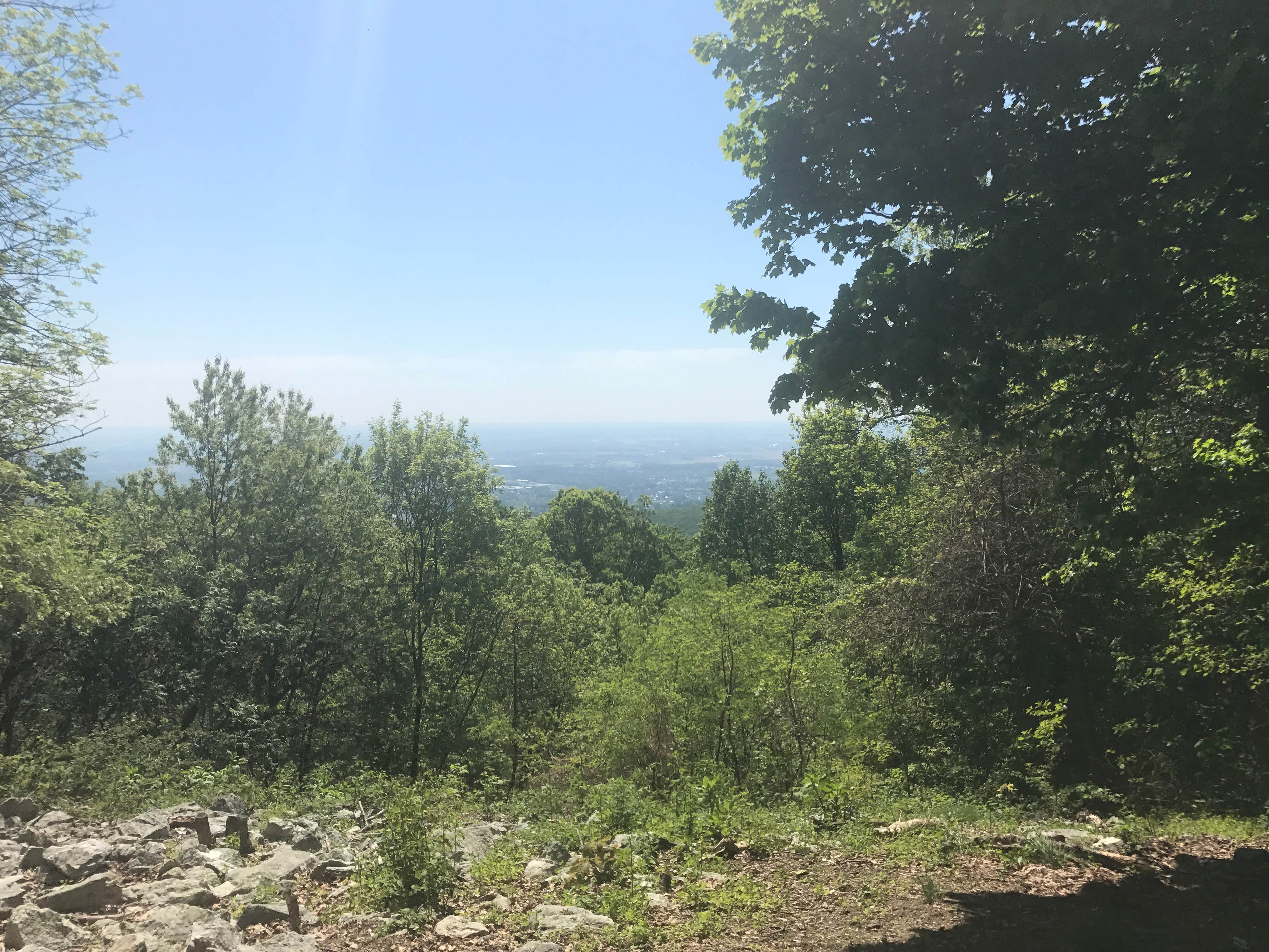 Camper submitted image from Owens Creek Campground — Catoctin Mountain Park - 4