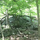 Review photo of Owens Creek Campground — Catoctin Mountain Park by Dave V., June 15, 2017