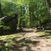 Review photo of Owens Creek Campground — Catoctin Mountain Park by Dave V., June 15, 2017