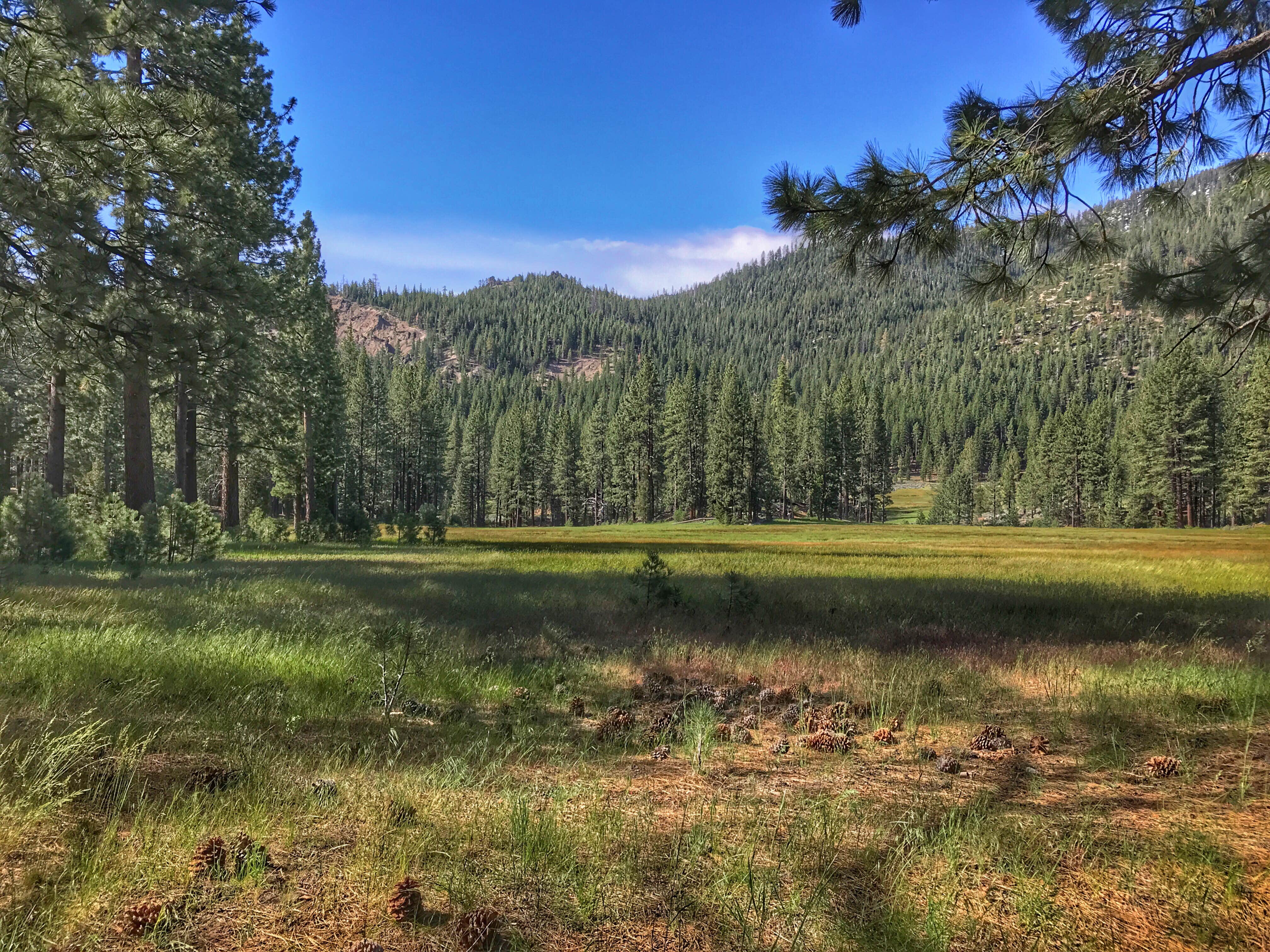 Camper submitted image from Grover Hot Springs State Park Campground - 2