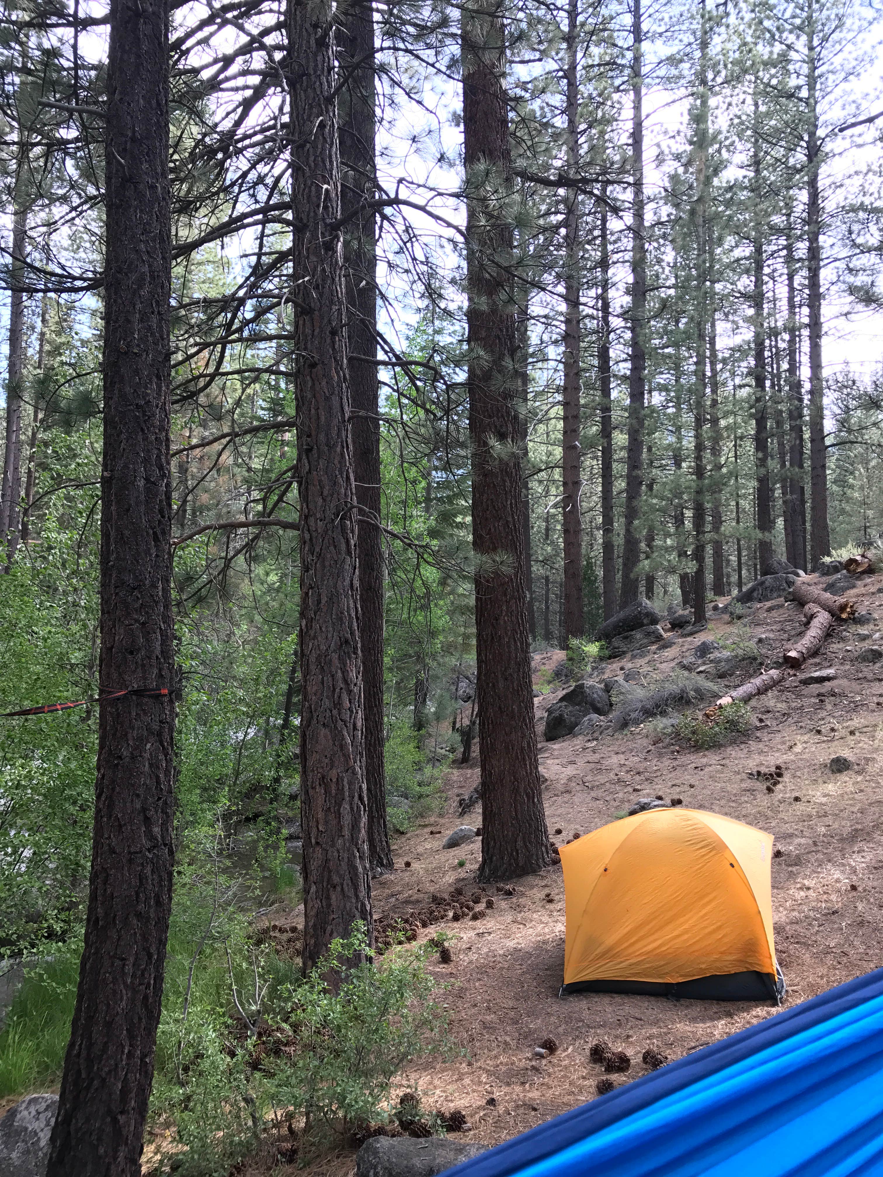 Camper submitted image from Grover Hot Springs State Park Campground - 5