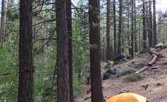 Kelly S.'s photo at Grover Hot Springs State Park Campground near Wellington, NV