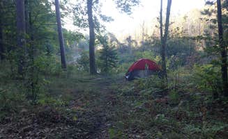 Judy B.'s photo of tent camping at Ocqueoc Falls State Forest Campground near Boyne City, MI