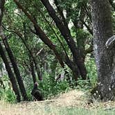 Review photo of Kyen Campground by Kelly S., June 15, 2017