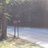 Review photo of Sweetwater Creek State Park Campground by Shelly S., June 15, 2017
