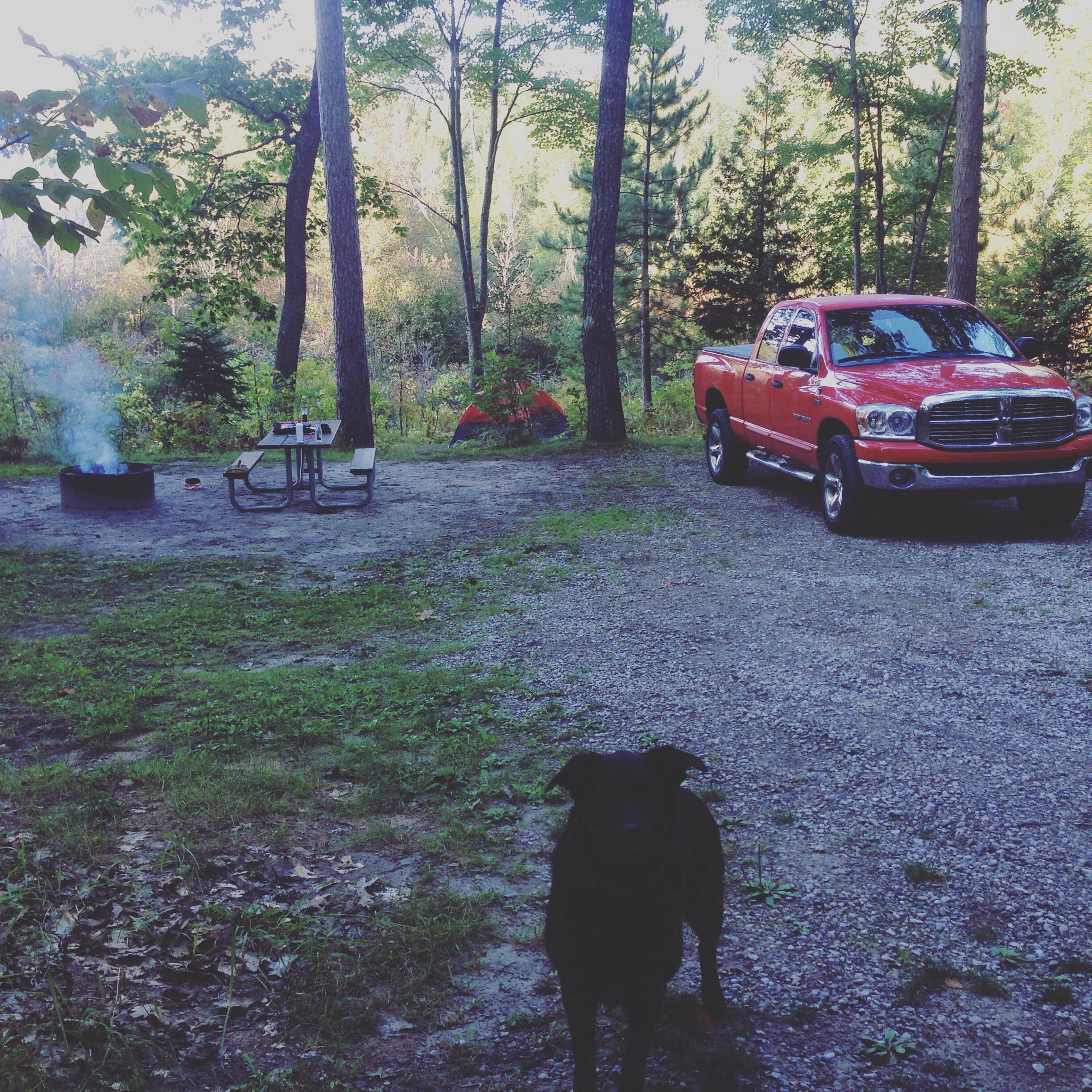 Camper submitted image from Ocqueoc Falls State Forest Campground - 5