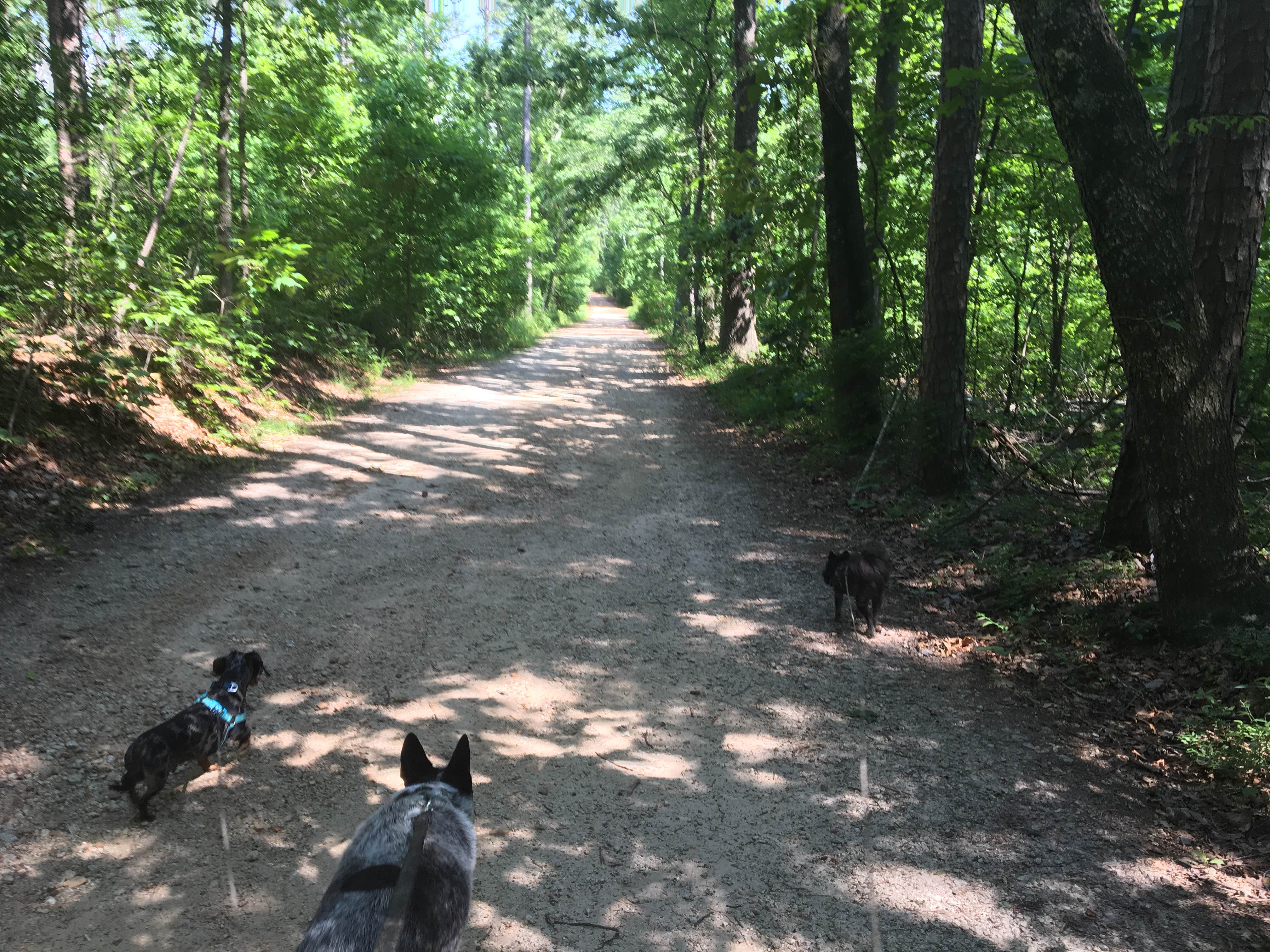 Camper submitted image from Sweetwater Creek State Park Campground - 2